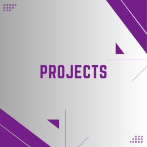 Text graphic of "Projects"